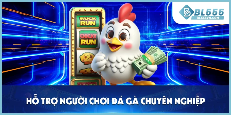 Hỗ trợ người chơi đá gà chuyên nghiệp