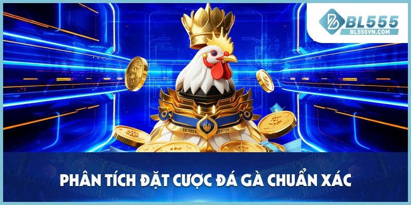 Phân tích đặt cược đá gà chuẩn xác